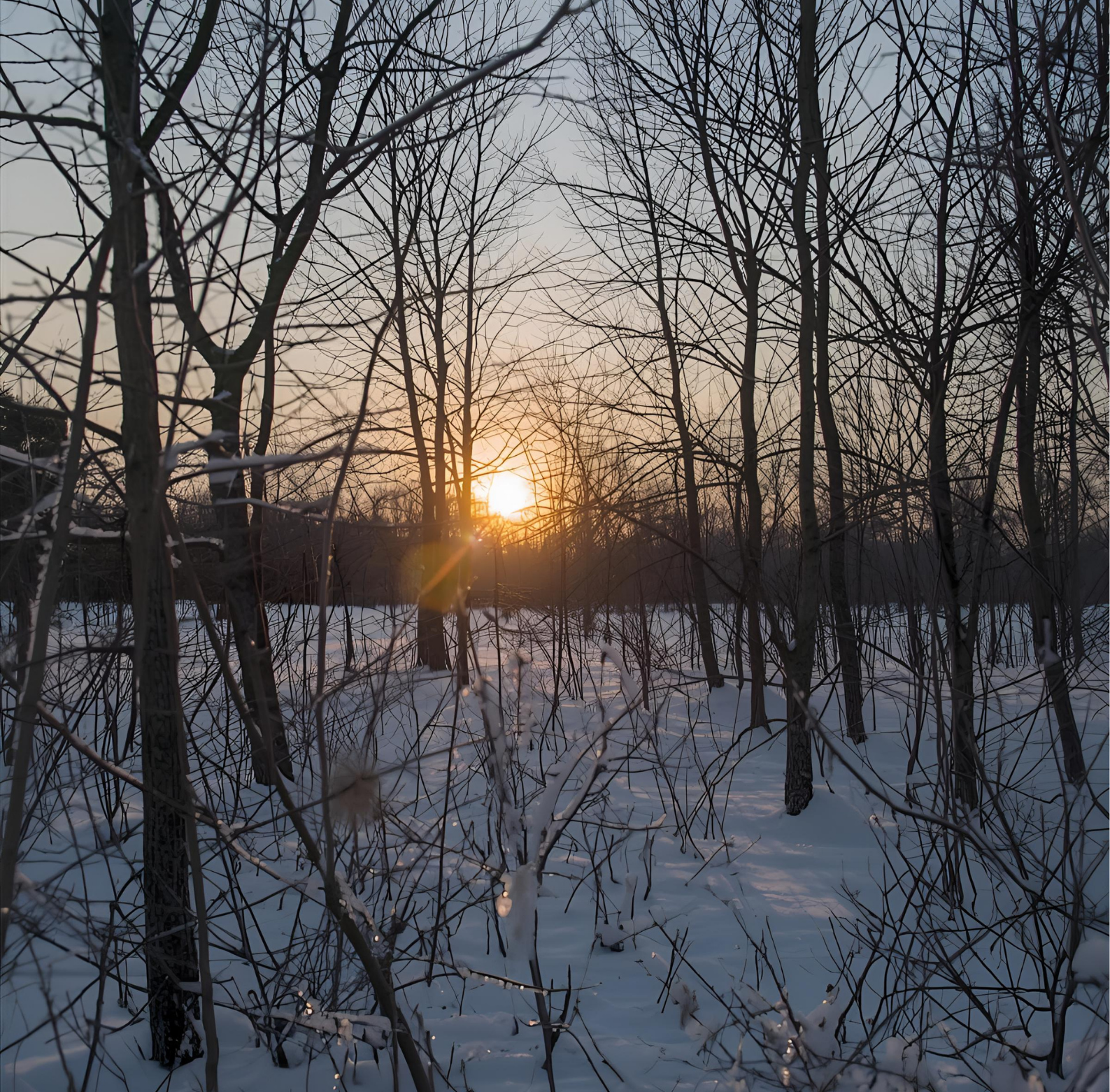 Blog winter solstice 1